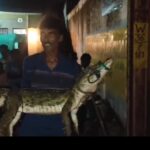 मध्यप्रदेश का एक ऐसा शहर, जहां गोद में लेकर घूमते हैं, मगरमच्छ को