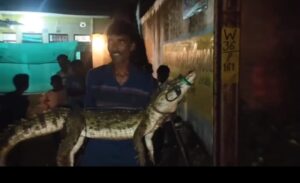 मध्यप्रदेश का एक ऐसा शहर, जहां गोद में लेकर घूमते हैं, मगरमच्छ को