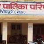 नगरपालिका में चल रही फाइलों की तलाश, सीएमओ ने दिया दो दिन का समय