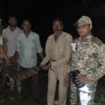 लो जी बारिश रुकी तो रिहायशी इलाकों में निकलने लगे मगरमच्छ