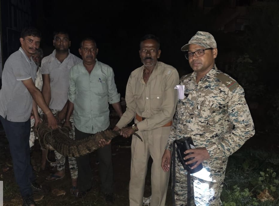 लो जी बारिश रुकी तो रिहायशी इलाकों में निकलने लगे मगरमच्छ