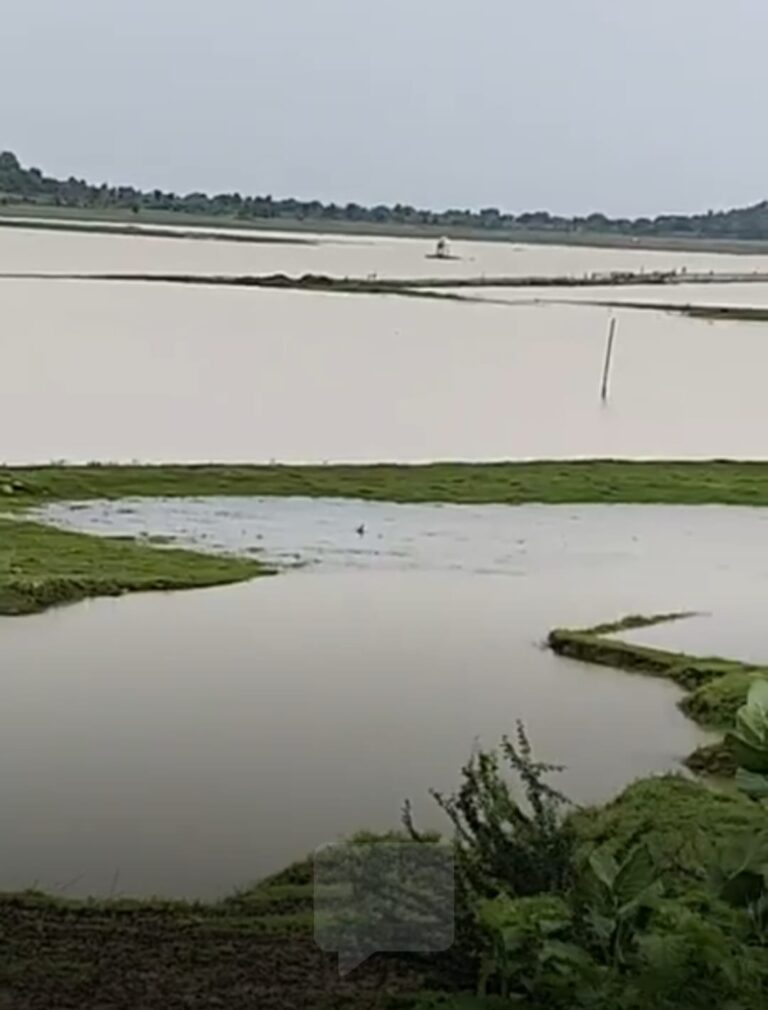 WhatsApp Image 2025-07-17 at 21.45.33_77364f16