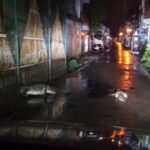 बर्फ फैक्ट्री के पास पुलिया पर घूमते नजर आए दो विशालकाय मगरमच्छ