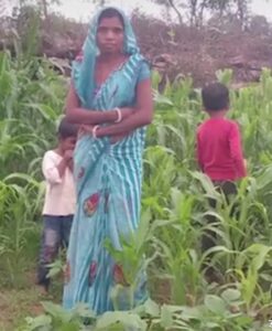 रक्षाबंधन मनाने राजस्थान गई महिला व उसके दो मासूम बच्चों को सांप ने डसा, तीनों की मौत