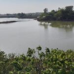 केंद्रीय मंत्री के आदेश का हुआ पालन, तो भूमाफिया से बच जाएगा शहर का मनियर तालाब