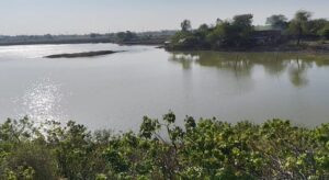 केंद्रीय मंत्री के आदेश का हुआ पालन, तो भूमाफिया से बच जाएगा शहर का मनियर तालाब