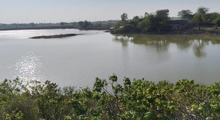 केंद्रीय मंत्री के आदेश का हुआ पालन, तो भूमाफिया से बच जाएगा शहर का मनियर तालाब