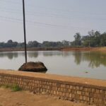 नपा का एक और 5 करोड़ का ओपन भ्रष्टाचार: 1.87 करोड़ दिए, अब 50 लाख देने की तैयारी