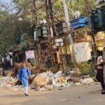नवाब साहब रोड पर कचरे के ढेर में आवारा मवेशी बने हुए हैं भक्तों व स्कूली बच्चों के लिए खतरा