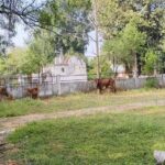 क्षेत्रीय सांसद एवं केंद्रीय मंत्री ज्योतिरादित्य सिंधिया ने पिछली बैठक में निर्देश दिए थे कि शिवपुरी शहर के पार्क संवारे जाएंगे