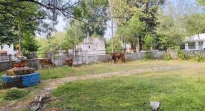 क्षेत्रीय सांसद एवं केंद्रीय मंत्री ज्योतिरादित्य सिंधिया ने पिछली बैठक में निर्देश दिए थे कि शिवपुरी शहर के पार्क संवारे जाएंगे