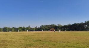 शिवपुरी में क्रिकेट स्टेडियम के बावजूद प्रैक्टिस ग्राउंड में कराया क्रिकेट मैच, पांच बॉल खोई