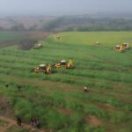 वन भू-माफियाओं के विरुद्ध वन विभाग की बड़ी कार्यवाही, मुक्त कराई 300 बीघा वन भूमि