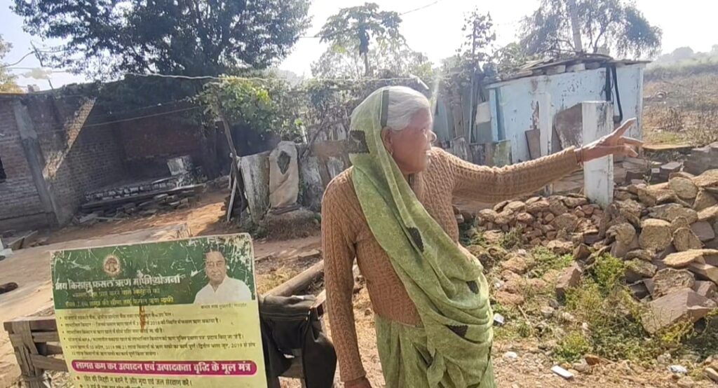 सरदारपुरा से मोहम्मदपुर गांव के खेतों में पहुंची बाघिन, दहशत में ग्रामीणजन, नहीं जा पा रहे खेतों में