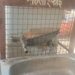 जिंदा आदमी लगा था नारे, जो दुनिया छोड़ गए, उनकी अस्थियां धोने को पानी तक नहीं