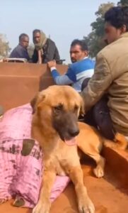बेजुबान ने दिखाई बफ़दारी: पीएम के लिए ट्रॉली से ले जा रहे थे शव के साथ सवार हुआ पालतू कुत्ता