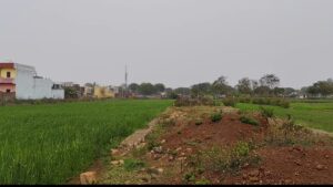 जमीन का खेल: 4 बीघा का कराया अनुबंध, 2 बीघा की कराई रजिस्ट्री, शेष 60 लाख देने से इनकार का आरोप