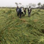 ईश्वर भी किसान को ही दे रहा सजा, बारिश के बीच ओलावृष्टि से हुआ सभी फसलों को नुकसान