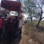 जिसके फेर में गया जेल, उसी के साथ पेड़ से लटकी मिली लाश, पुलिस जुटी जांच में: हत्या या आत्महत्या