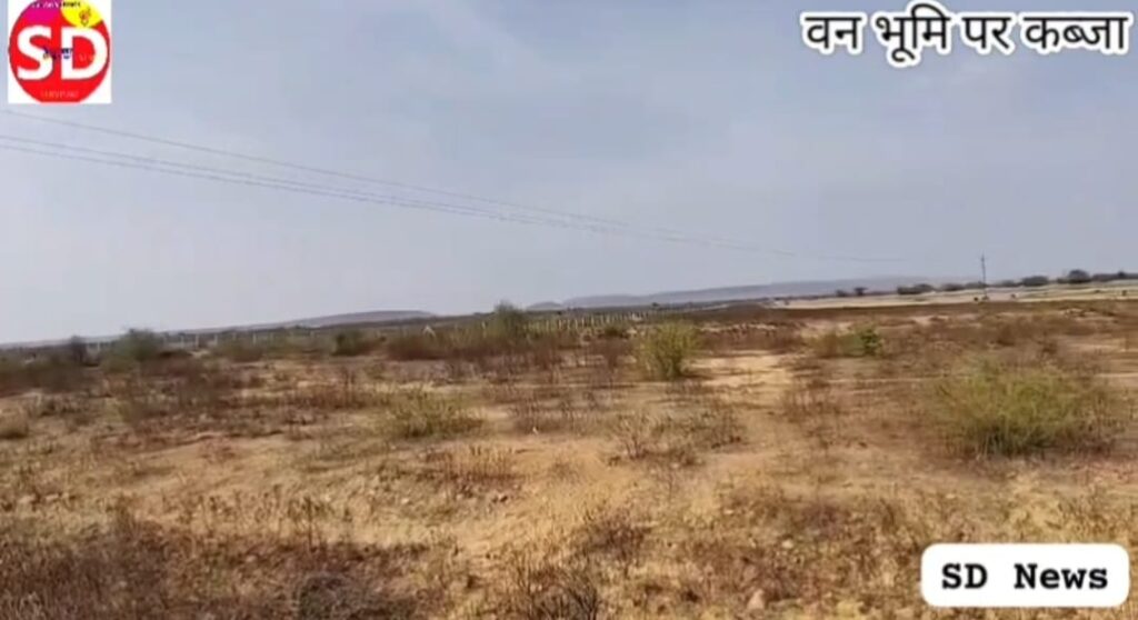 सतनबाड़ा रेंज में फॉरेस्ट की जमीन पर कोलारस के नेताओं ने करवाई फेंसिंग, पट्टे के नाम पर कब्जे की तैयारी