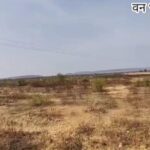 सतनबाड़ा रेंज में फॉरेस्ट की जमीन पर कोलारस के नेताओं ने करवाई फेंसिंग, पट्टे के नाम पर कब्जे की तैयारी