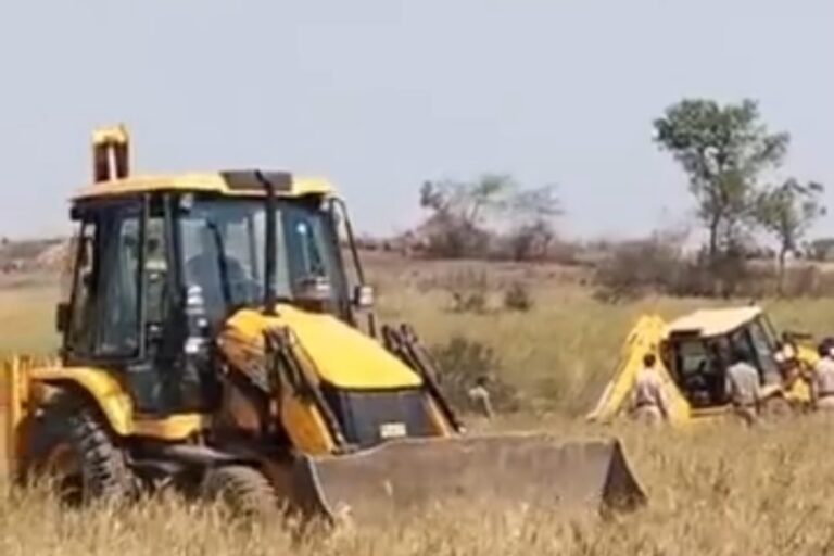 125 बीघा सरकारी जमीन को कराया कब्जा मुक्त, 18 कब्जेधारियों की लहलहा रही थी फसल