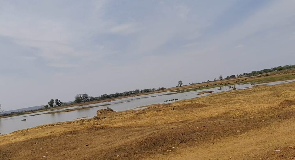 शासन की जल संरक्षण योजनाएं, जिले में धरातल पर शून्य, मार्च में ही खाली होने लगा करई का तालाब