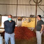 फूड सेफ्टी की दो सदस्यीय टीम ने दो दिन डाला शिवपुरी में डेरा, पिछोर में दो मिठाई की दुकान व शिवपुरी में दो मसाला फैक्ट्री से लिए सैंपल