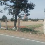 सतनबाड़ा-नरवर रोड पर सड़क के शोल्डर तक किया कब्जा करने से हादसों का खतरा