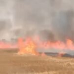 पहले पानी से बचा रहे थे, अब आग ने खाक कर दी अन्नदाता की मेहनत, इमलिया में 25 किसानों की फसल हुई राख