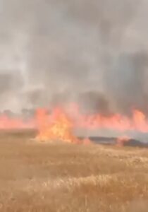 पहले पानी से बचा रहे थे, अब आग ने खाक कर दी अन्नदाता की मेहनत, इमलिया में 25 किसानों की फसल हुई राख