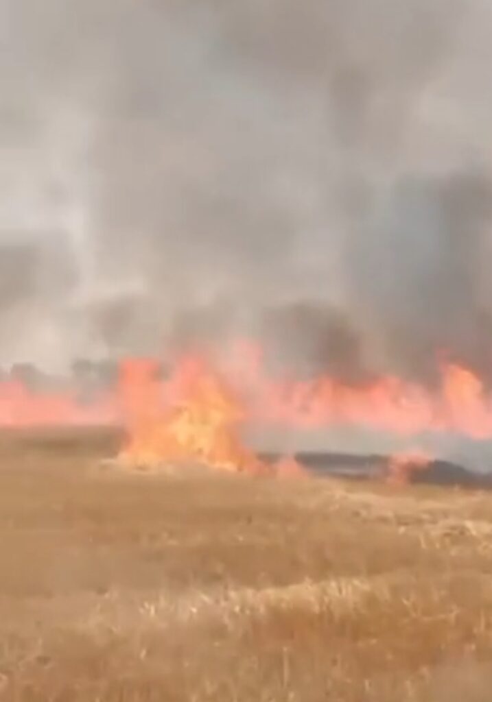 पहले पानी से बचा रहे थे, अब आग ने खाक कर दी अन्नदाता की मेहनत, इमलिया में 25 किसानों की फसल हुई राख