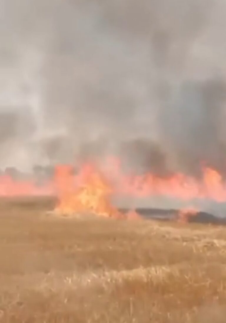 पहले पानी से बचा रहे थे, अब आग ने खाक कर दी अन्नदाता की मेहनत, इमलिया में 25 किसानों की फसल हुई राख