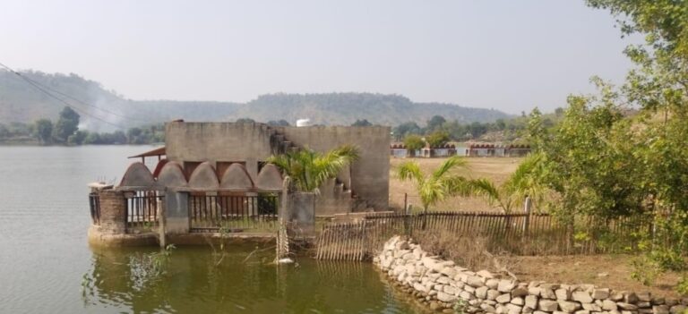 एनजीटी ने लगाया शिवपुरी कलेक्टर पर 10 हजार का जुर्माना, राशि जमा करने के बाद ही अपना पक्ष रख पाएंगे कलेक्टर