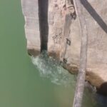 कोलारस विधानसभा में रेत के लिए जीवन छीनने पर उतारू माफिया: स्टॉप डैम के गेट खोलकर नदी कर दी खाली