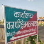 शिवपुरी के बेचिराग ग्राम रायपुर के आसपास में लावारिस मिली खैर की लकड़ी, जब्ती में लेने के बाद भी अनजान बना वन महकमा