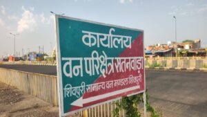 शिवपुरी के बेचिराग ग्राम रायपुर के आसपास में लावारिस मिली खैर की लकड़ी, जब्ती में लेने के बाद भी अनजान बना वन महकमा