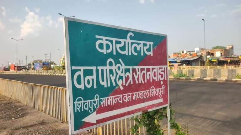 शिवपुरी के बेचिराग ग्राम रायपुर के आसपास में लावारिस मिली खैर की लकड़ी, जब्ती में लेने के बाद भी अनजान बना वन महकमा