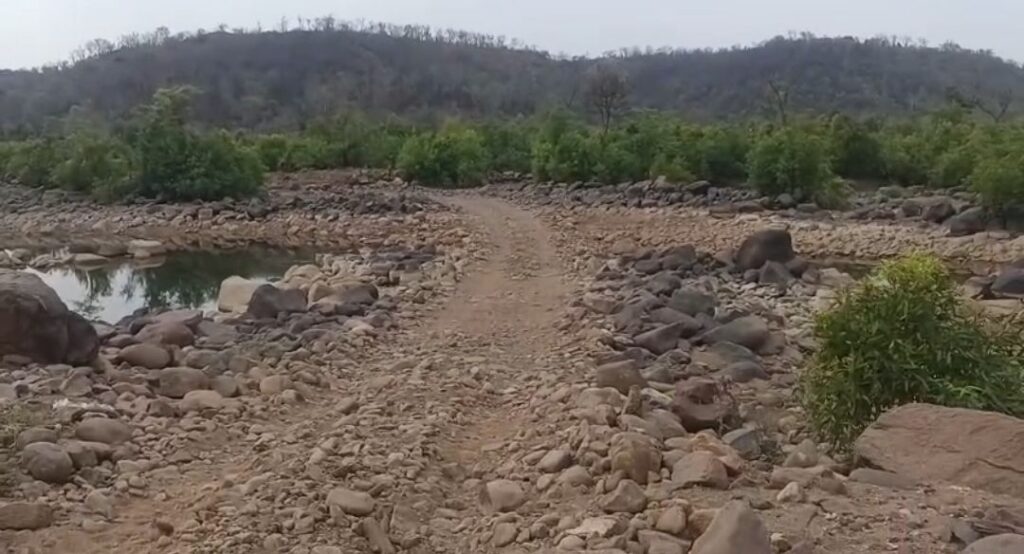 सिंध नदी में से रास्ता बनाकर निकाल रहे पत्थर से भरे ट्रक, फॉरेस्ट के अधिकारियों को सूचना देने के बाद भी रास्ता यथावत