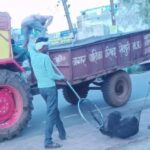जल संकट से जूझ रहे शहरवासियों को अब आवारा कुत्तों से खतरा, 3 दर्जन से अधिक जख्मी पहुंचे जिला अस्पताल