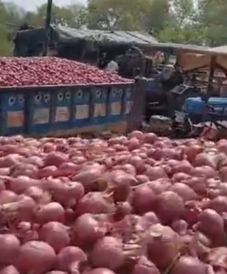 प्याज ने लगाया पिपरसमा रोड पर 3 घंटे तक जाम, किसान को करना पड़ रहा लम्बा इंतजार