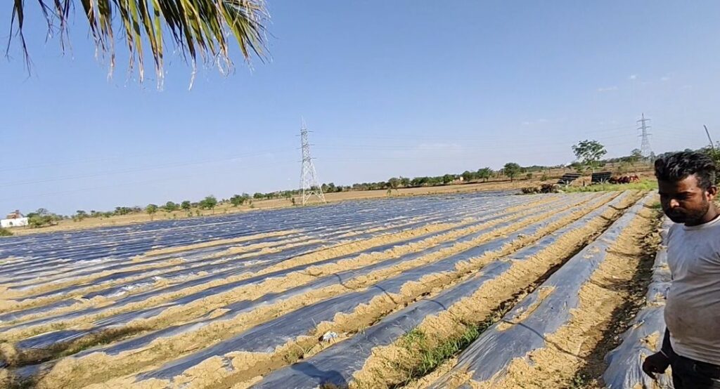 महंगाई ने कम कर दी किसान की आय, लागत बढ़ने से आधुनिक खेती में भी किसान का मुनाफा घटा