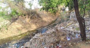 शहर के नालों की सफाई तो बेहतर हुई, किनारे लगाए ढेरों को उठवाना जरूरी, तेज बारिश में वापस जाएगा नाले में