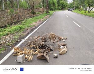 सीवर प्रोजेक्ट विभाग के लिए चारागाह, आमजन को जान का खतरा, न्यायालय को अबूझ पहेली
