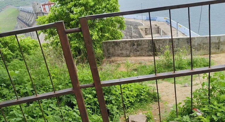 मड़ीखेड़ा डैम पर सैलानियों की सुरक्षा में चूक, पिकनिक स्पॉट पर सरिए काटे, झाड़ियां भी बढ़ी